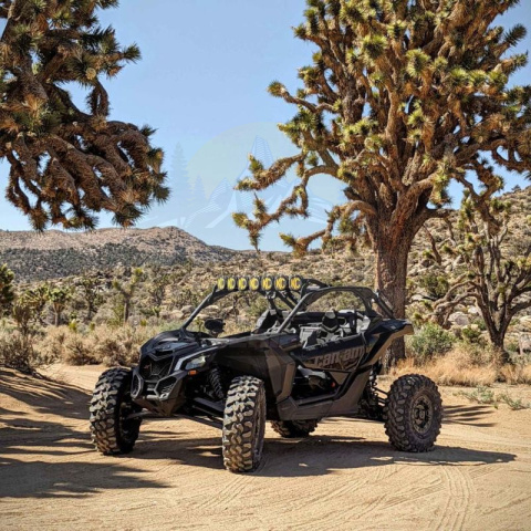 Extraordinary Can Am X3 Kc Lights Photos